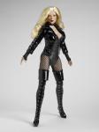 Tonner - DC Stars Collection - BLACK CANARY DELUXE